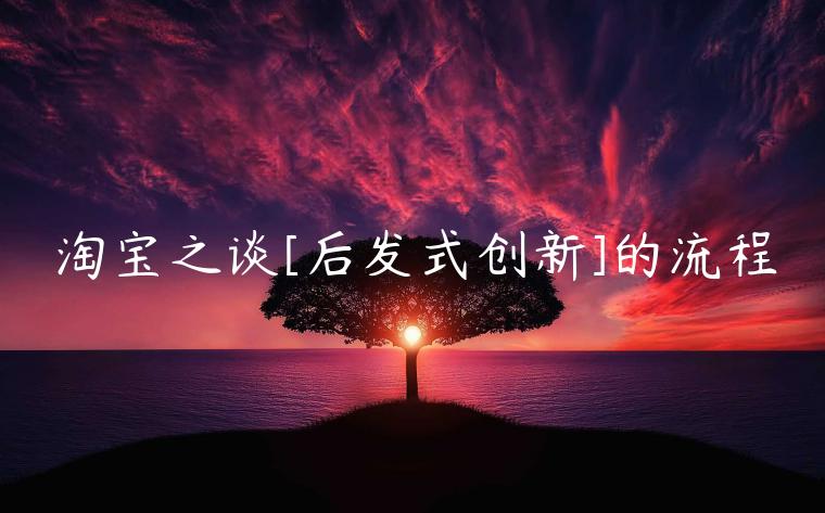 淘寶之談[后發(fā)式創(chuàng)新]的流程